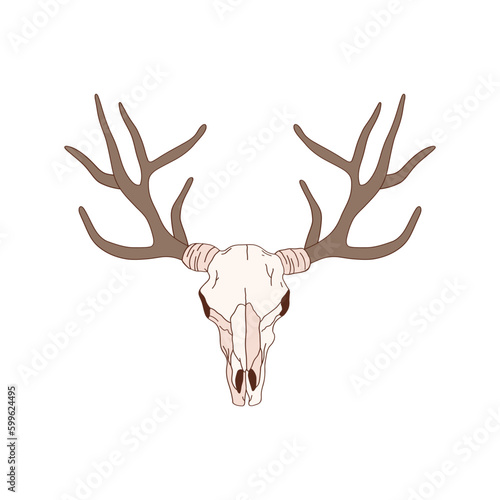 Deer scull with horns vector illustration isolated on white. Western Christmas design, wild west element. Delicate outlined graphics.