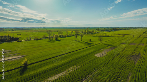Beautiful green fields and polders in Żuławy seen from a drone on a spring morning. Poland. © Kamil