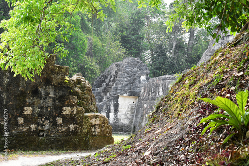 Entre muros de piedra y naturaleza. Entrada a la Acrópolis Central. Parque Nacional Tikal, departamento de Petén. Guatemala.