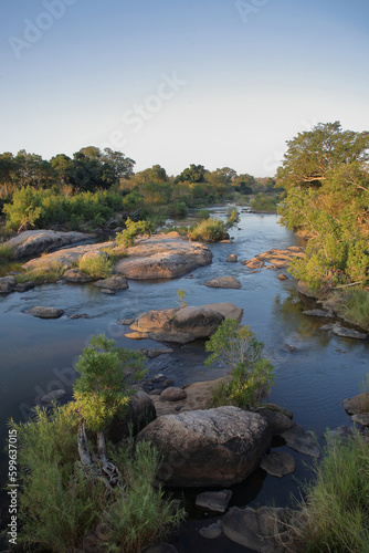Afrikanischer Busch - Krügerpark - Sabie River / African Bush - Kruger Park - Sabie River /