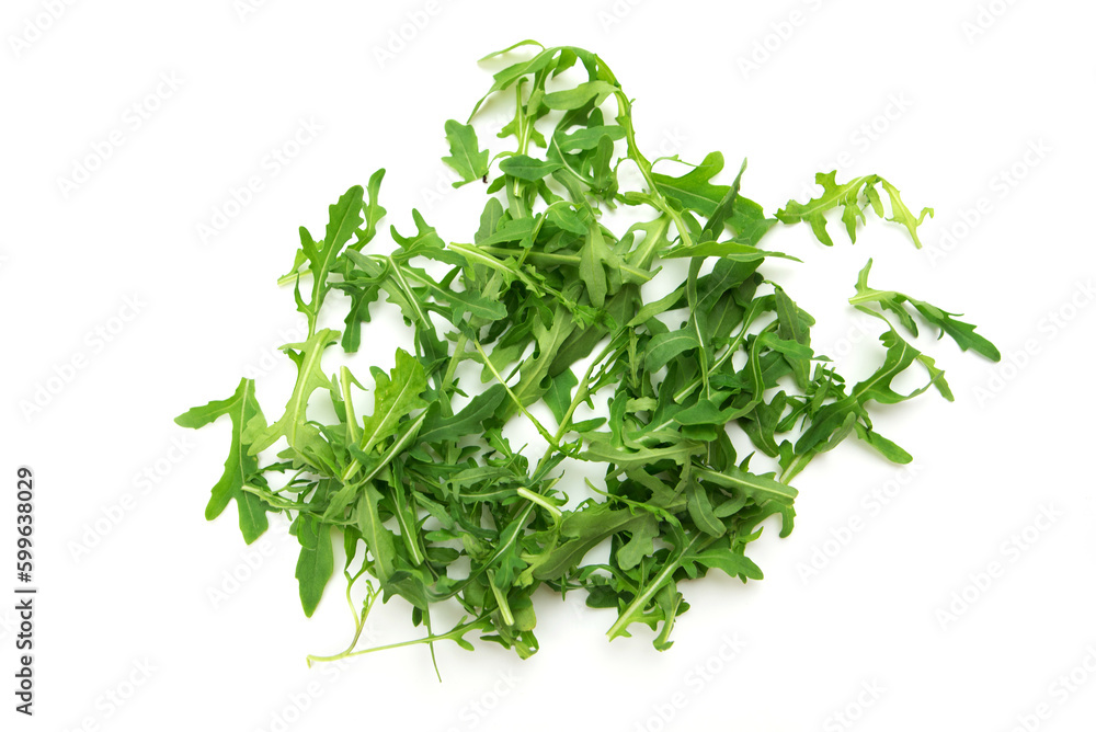 arugula leaves isolated arugula leaves isolated