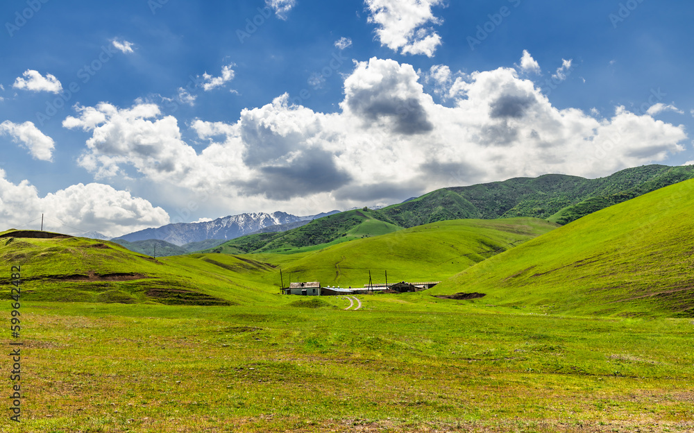 A farm in an alpine valley against the backdrop of green hills and snowy peaks. Mountain life.
