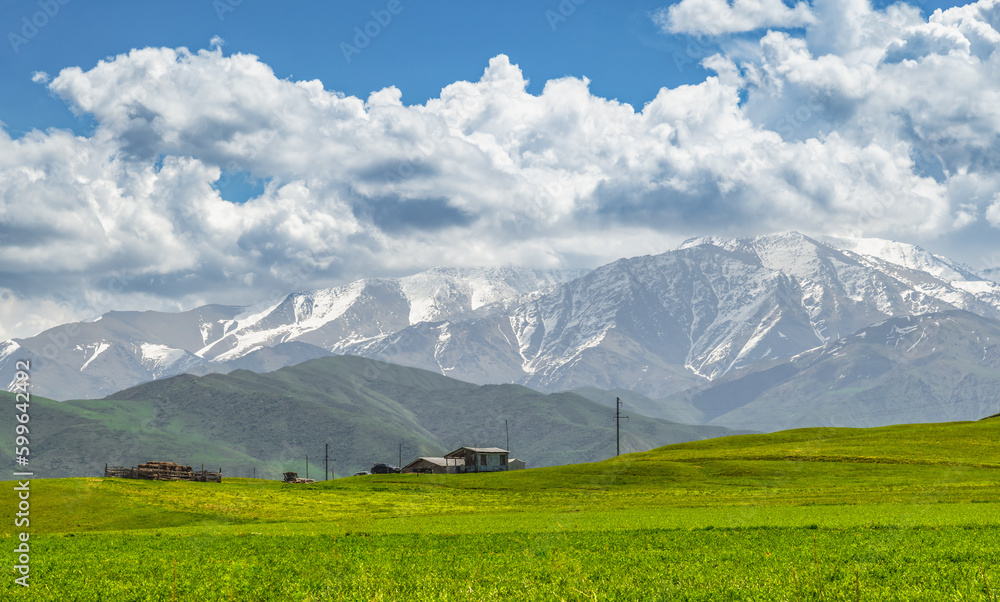 A farm in an alpine valley against the backdrop of green hills and snowy peaks.