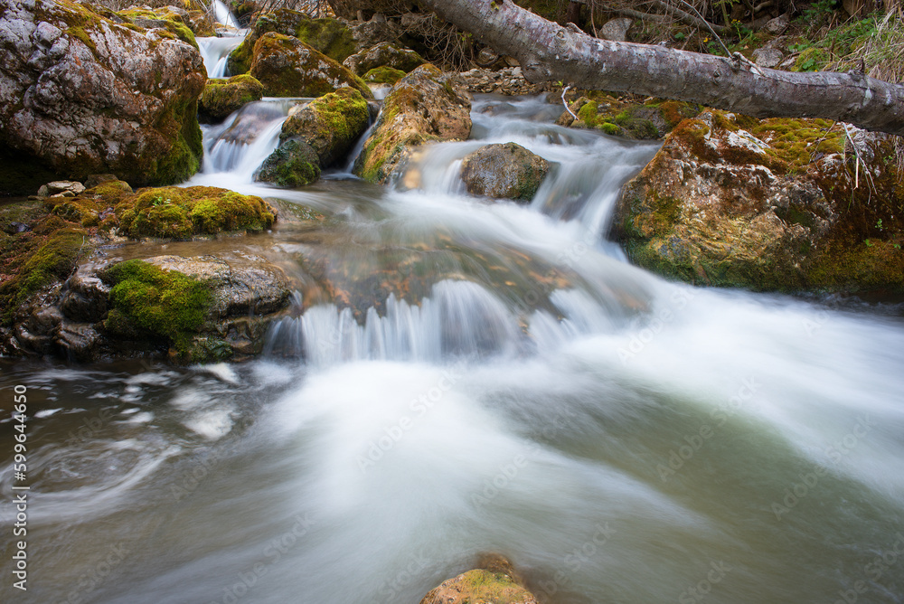 splendide lunghe esposizioni dell'acqua in questo torrente di montagna con sassi coperti di bel muschio verde, torrente nelle dolomiti