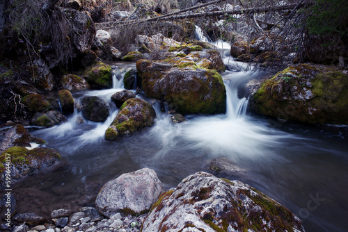 splendide lunghe esposizioni dell acqua in questo torrente di montagna con sassi coperti di bel muschio verde  torrente nelle dolomiti