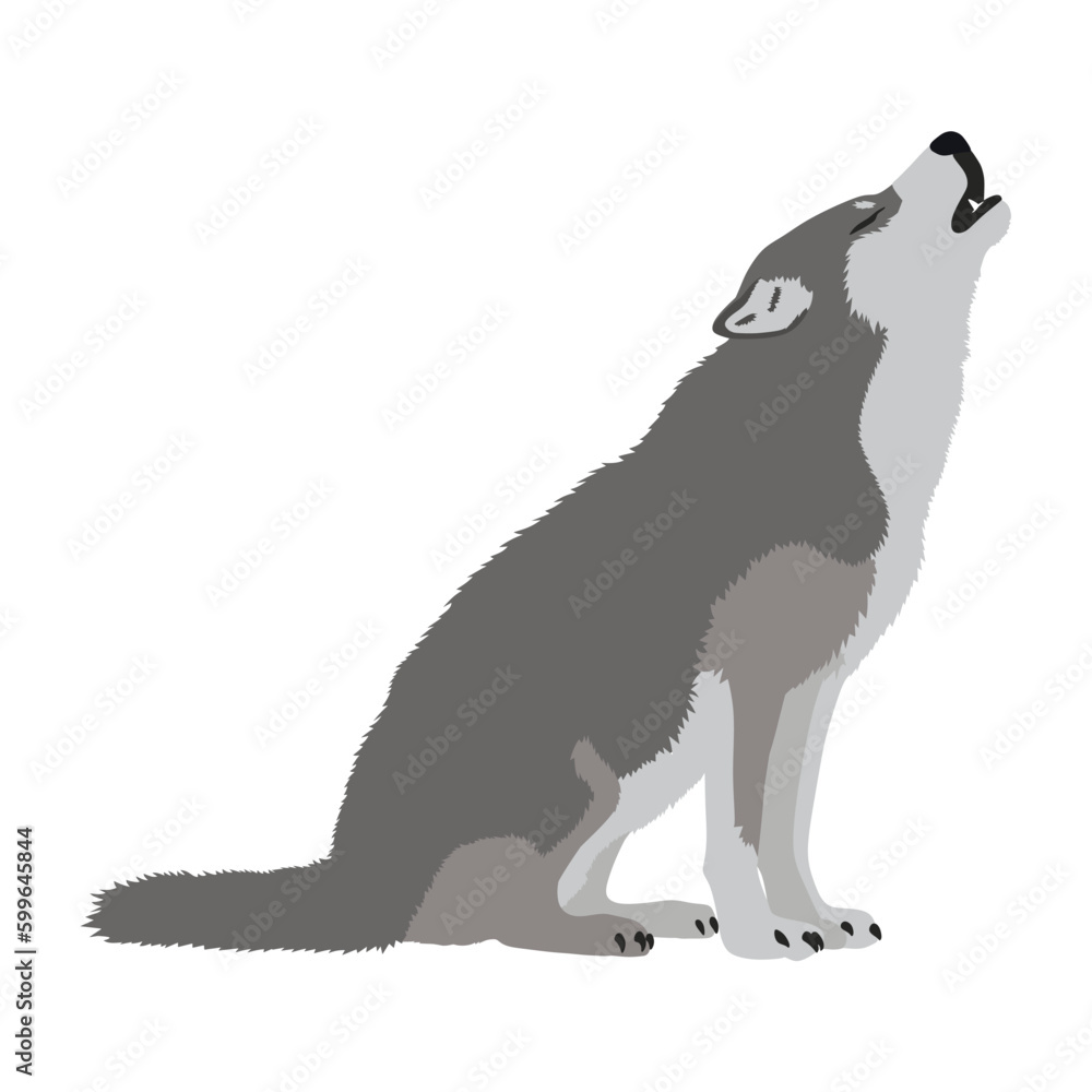 Realistic vector wolf howling illustration