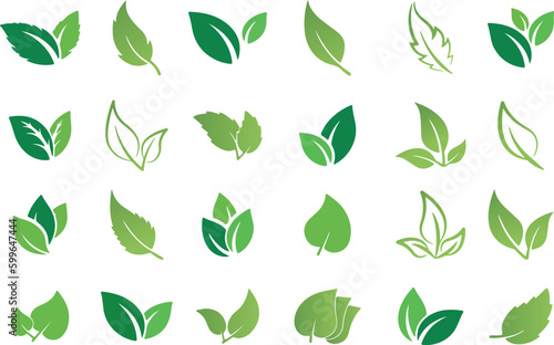 Obraz na plátne Green leaf vector set with bio and eco, leaf, nature, plant, vector, green, icon