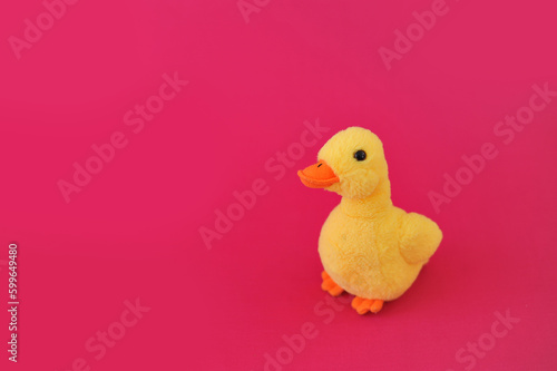 pato amarelo em fundo rosa  photo