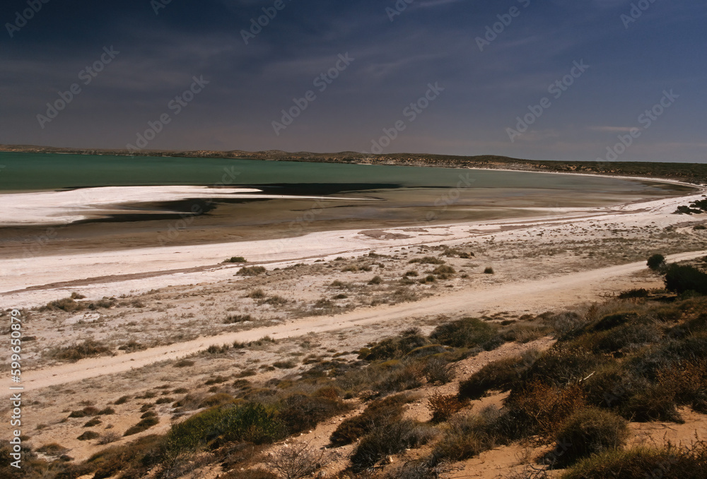 Shell Beach (Western Australia)