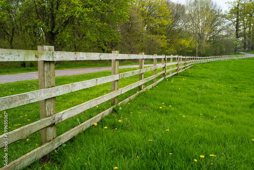 Foto Large wooden fence seen at the perimeter for a large meadow with a public path seen following the fence into a forest area
