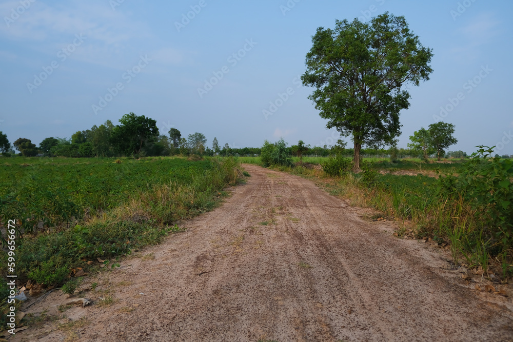 road in the countryside