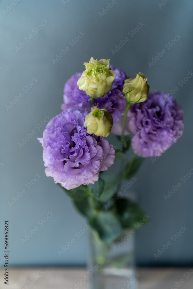 生けた紫の桔梗の花とつぼみ 生けた紫の桔梗の花とつぼみ