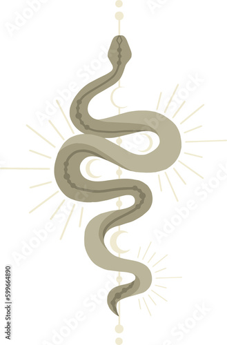 Line snake art with geometrical background
