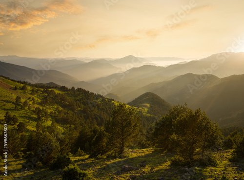 Evening in mountain forests. View of mountain ranges at sunset