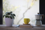Yellow coffee cup and moka pot and plant pot in front of glass window