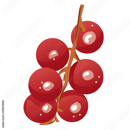 Illustration vectorielle groseille
