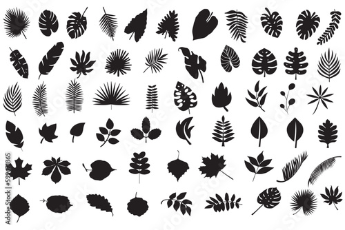 set of black silhouettes of leaves