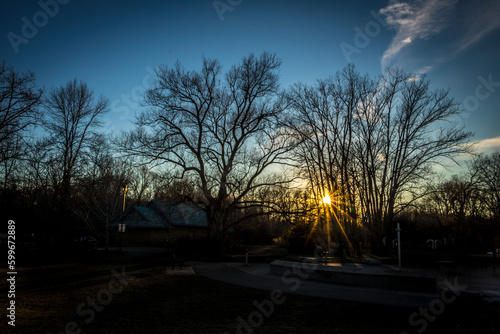 Starburst through trees in Jack Darling Park  Southern Ontario  Canada 