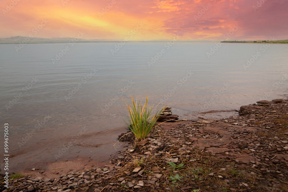 Shore of a lake with reeds on a summer evening at sunset. Beauty of nature. Shore of a lake with reeds on a summer evening at sunset. Beauty of nature.