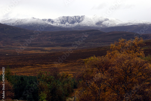 Fototapete Scottish moors - Lochnagar moutain range in the distance - Balmoral estate - Roy