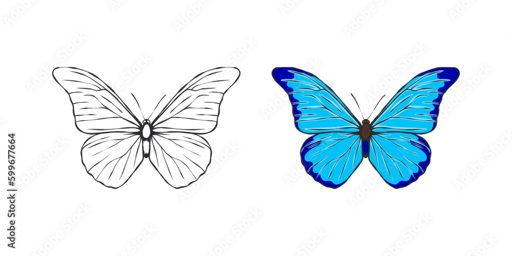 Fototapeta premium Butterflies. Hand drawn blue and black butterflies. Vector scalable graphics
