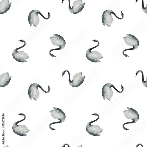 Watercolor seamless pattern with swans. Hand drawn print on white background. Animal illustration