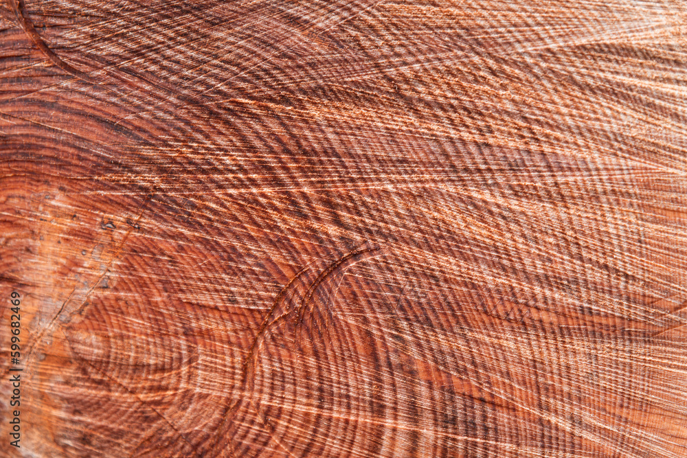 Holz Jahresringe nach Fällung Deko Hintergrund Holz Jahresringe nach Fällung Deko Hintergrund
