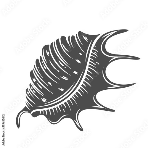 Sea shell with spikes glyph icon vector illustration. Stamp of cockleshell, spiked conch of underwater marine animal from sand beach or bottom of ocean, exotic aquarium seashell for decoration