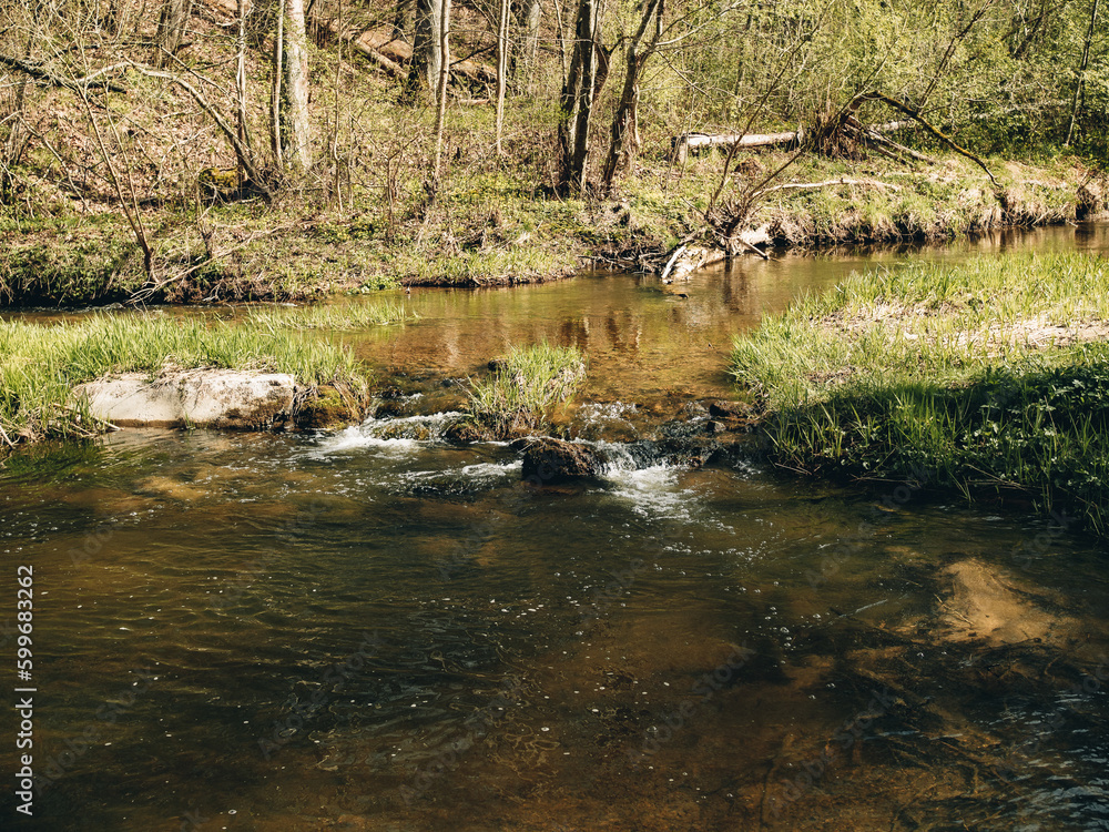 In spring nature. Forest and meadows, a river flows with rapids and a small waterfall In spring nature. Forest and meadows, a river flows with rapids and a small waterfall