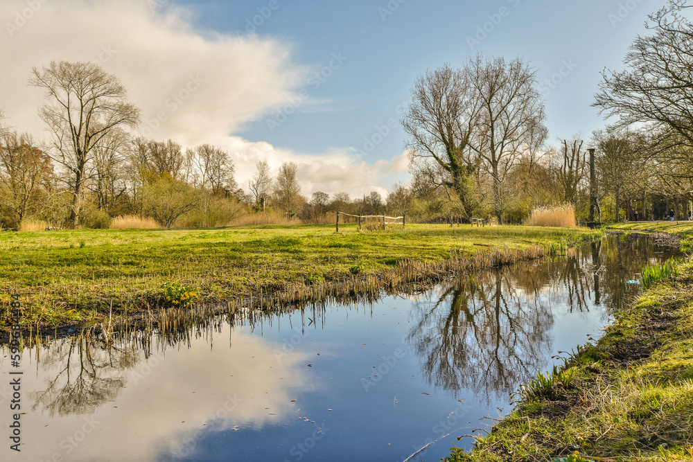 a small pond in the middle of a grassy area with trees and grass on either side of it, there is a blue sky