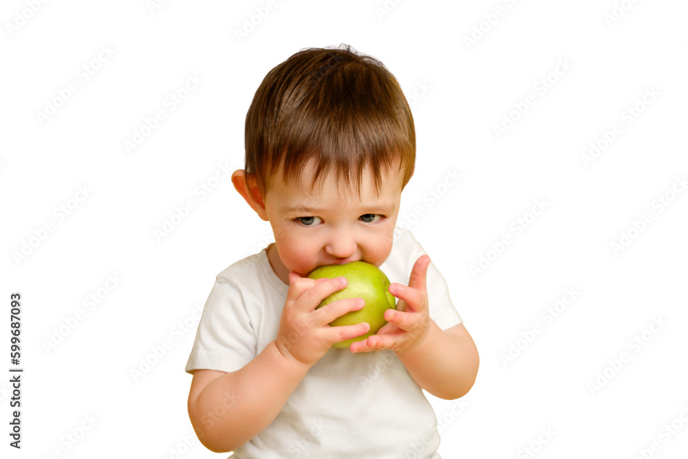 Happy toddler baby eating a green apple on studio isolated on a white background. Child with a big green apple in a white t-shirt, copy space. Kid aged one year and four months Happy toddler baby eating a green apple on studio isolated on a white background. Child with a big green apple in a white t-shirt, copy space. Kid aged one year and four months