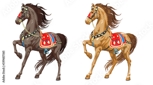 Realistic ethnic horse. Two different colors of the horse