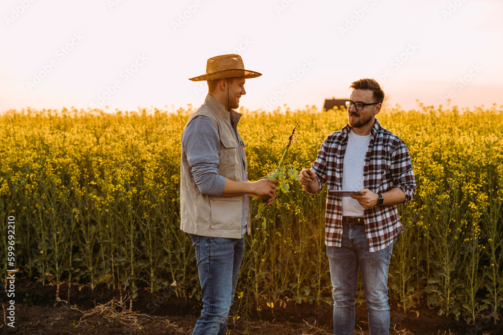 © cherryandbees - Two brothers working on a farm. © cherryandbees - Two brothers working on a farm.