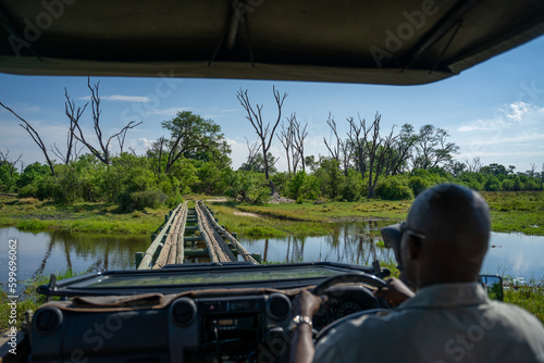 Ein Guide fährt mit seinem Safari Jeep über eine wacklige Holzbrücke über einen Fluss im grünen Okavango Delta, Afrika