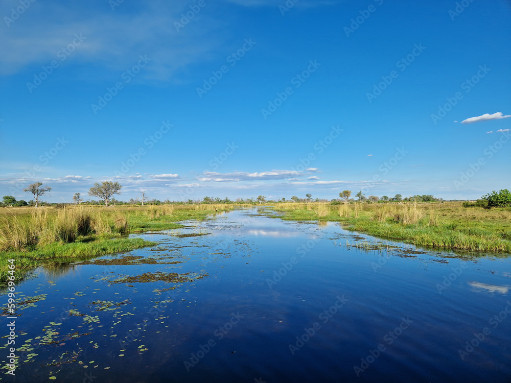 Fototapeta premium Das Okavango Delta mit seinen freien Kanälen, Seen und Sumpfflächen in Botswana, Afrika
