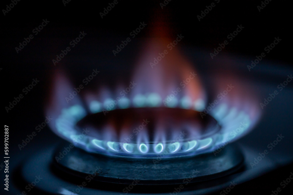 Natural gas used in homes and industry Natural gas used in homes and industry