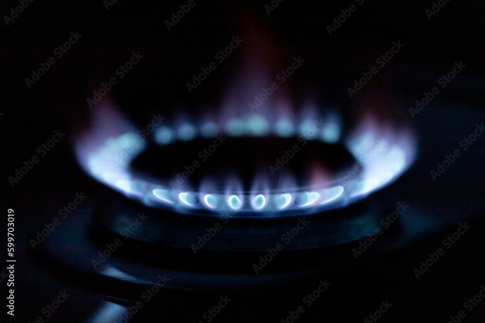 Natural gas used in homes and industry Natural gas used in homes and industry