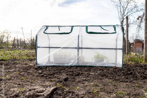 little portable film covered greenhouse on ground in village garden in spring