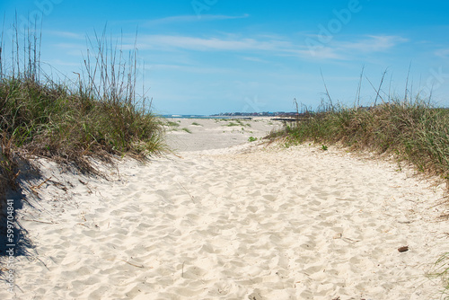 Dunes leading to the beach on Pawleys Island, South Carolina, USA. © Joe