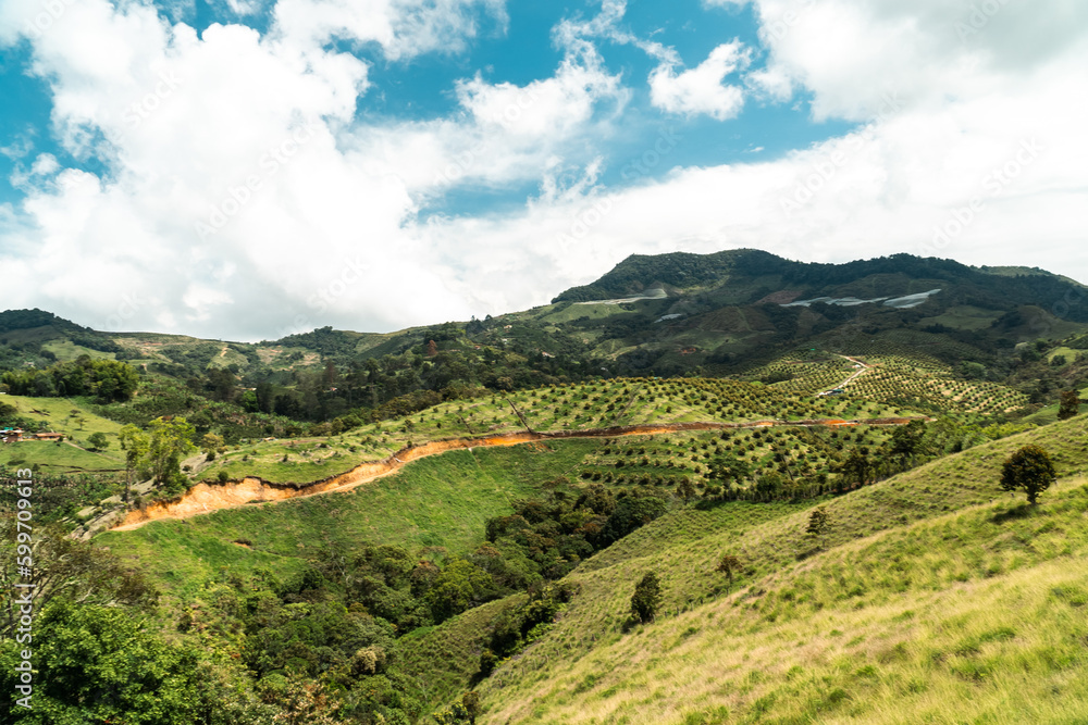 Mountain with avocado plantation and rural landscape. Jerico, Antioquia, Colombia. 