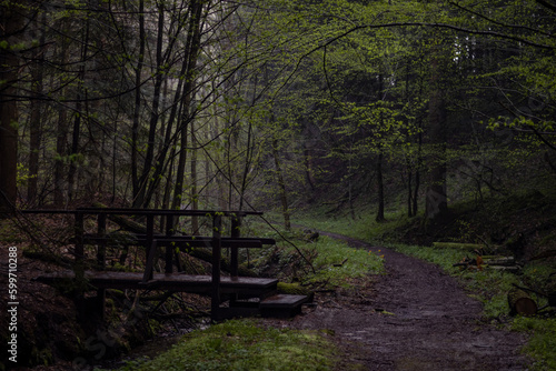 Fototapeta Naklejka Na Ścianę i Meble -  Samotność