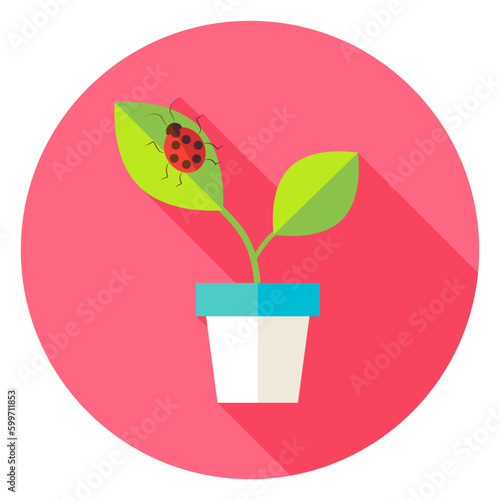Flower Pot with Plant and Ladybug Circle Icon. Flat Design Vector Illustration with Long Shadow. Spring Nature and Floral Symbol.