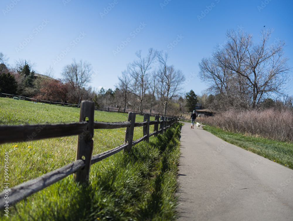 Fototapeta premium Wooden Fence 
