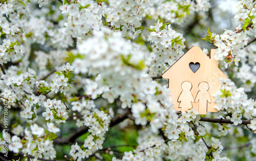 symbol of the house among the white cherry blossoms 