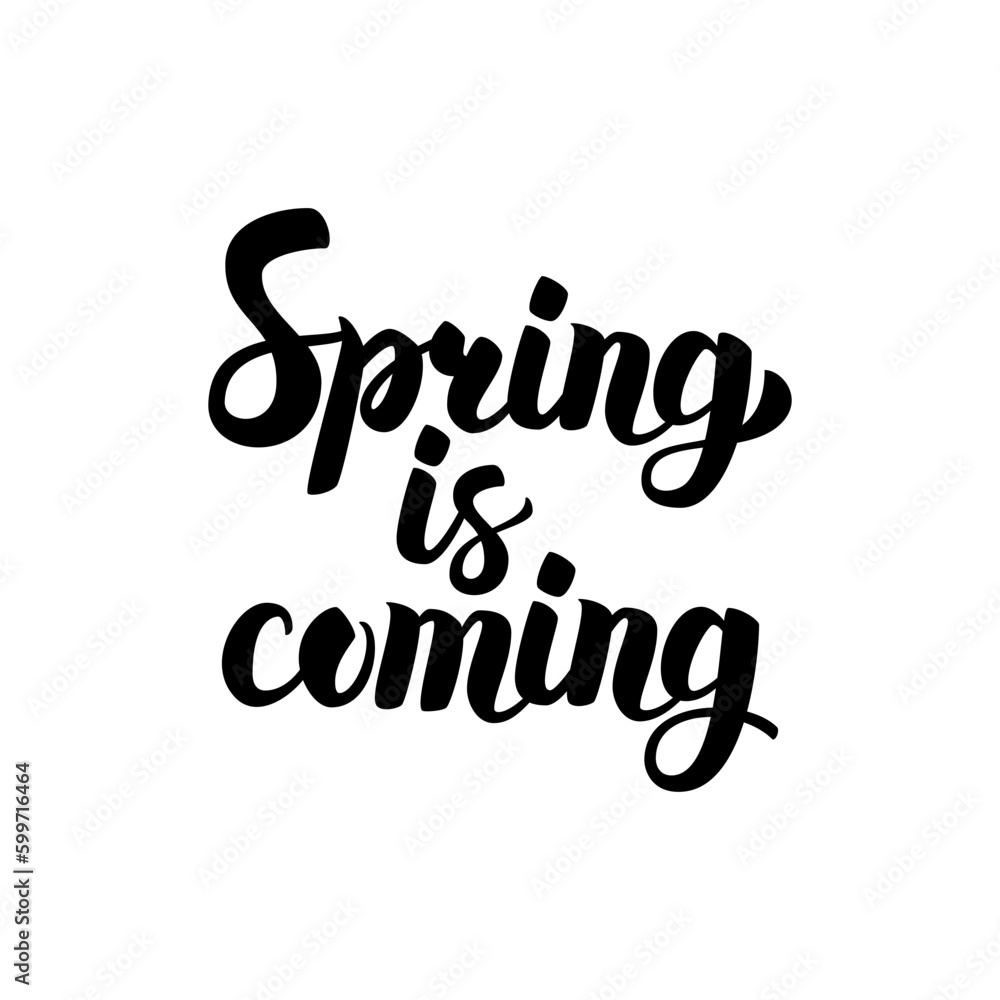 Spring is Coming Calligraphy. Vector Illustration of Ink Brush Lettering Isolated over White Background. Spring is Coming Calligraphy. Vector Illustration of Ink Brush Lettering Isolated over White Background.