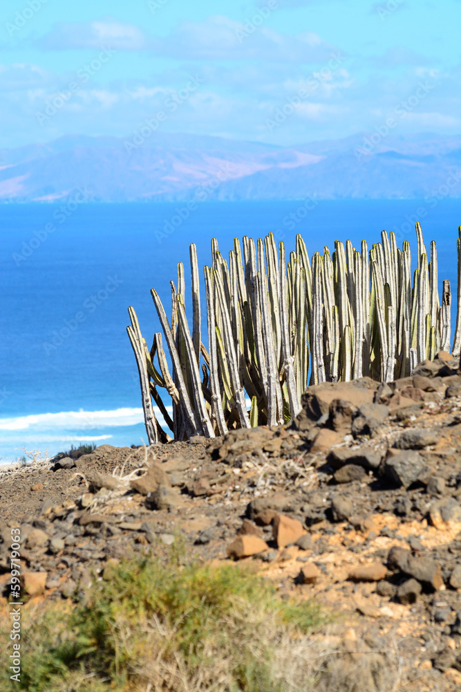 View on difficult to access golden sandy Cofete beach hidden behind mountain range on Fuerteventura, Canary islands, Spain