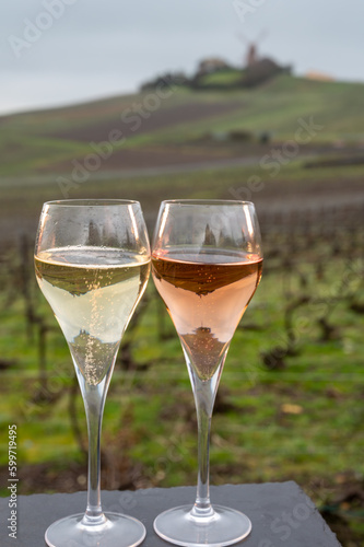 Tasting of brut and rose champagne sparkling wine outdoor with view on pinot noir gran cru vineyards of famous champagne houses in Montagne de Reims near Verzenay, Champagne, France