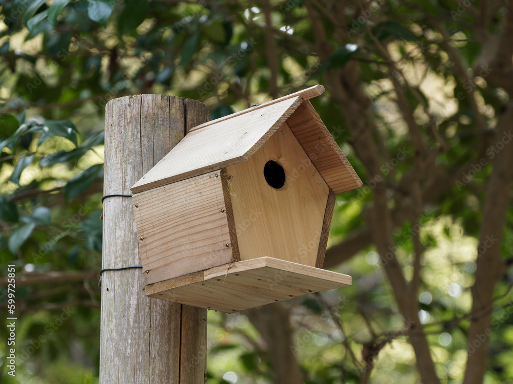 木製の鳥の巣箱 木製の鳥の巣箱