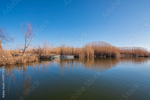 Reflected image of Eber lake and reeds in afyon province