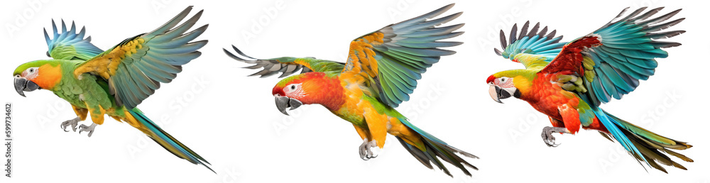 Flying Parrot Set Isolated on Transparent Background - Generative AI
